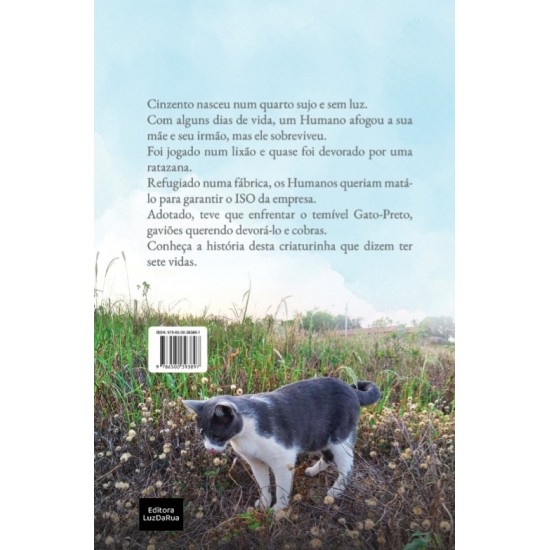 Cinzento, Um Dia de Sol, Mauro Pereira-Silva, Editora Luz da Rua