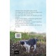 Cinzento, Um Dia de Sol, Mauro Pereira-Silva, Editora Luz da Rua