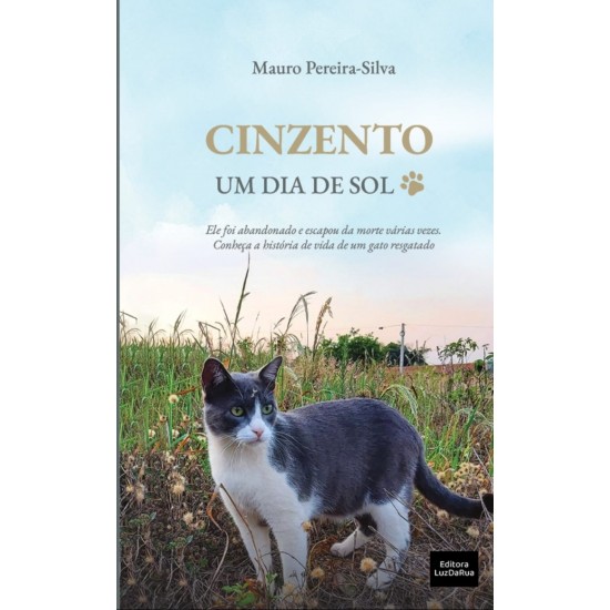 Cinzento, Um Dia de Sol, Mauro Pereira-Silva, Editora Luz da Rua