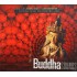 Cd Buddha Sounds, A Personal Voyage Into Dowtempo Lands