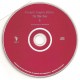 Cd Gorky's Zygotic Mynci – The Blue Trees, Sun Records