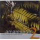 Cd Maestro Carlos Slivskin, Amanhecer 2, Músicas Clássicas em Suaves Arranjos Cd Maestro Carlos Slivskin, Amanhecer 2, Músicas Clássicas em Suaves Arranjos