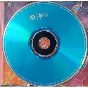 Cd Rita Lee, Acústico