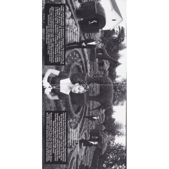 Cd The Progressive Sounds Of Combustible Edison, Schizophonic, Importado USA, 1996