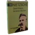 David Strauss, Sectário e Escritor, Nietzsche