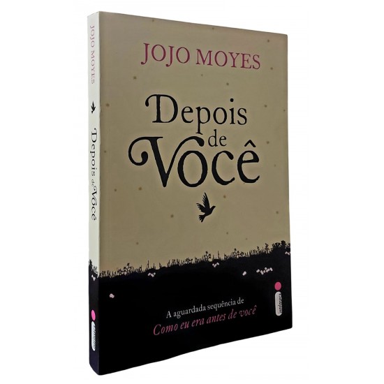 Depois de Você, Jojo Moyes, Sequência de Como Eu Era Antes de Você
