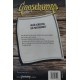 Goosebumps, Praia Fantasma, R. L. Stine