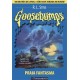 Goosebumps, Praia Fantasma, R. L. Stine