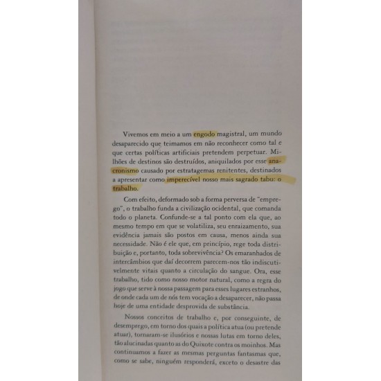 O Horror Econômico, Viviane Forrester