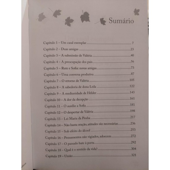 O Resgate de Uma Vida, Eliana Machado Coelho, Pelo Espírito Schellida