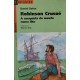 Robinson Crusoé, A Conquista do Mundo Numa Ilha, Daniel Defoe, Adaptação de Werner Zotz, Série Reencontro