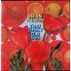 Cd Brian Wilson, That Lucky Old Sun Cd Brian Wilson, That Lucky Old Sun